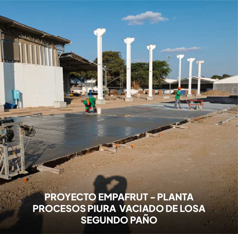 PROYECTO EMPAFRUT - PLANTA